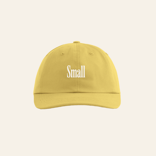 Small Beer Logo Dad Hat
